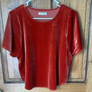 Madewell Burnt Orange Velvet Blouse
